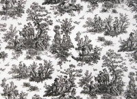 Jamestown Black / White Fabric